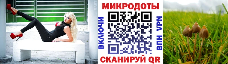Галлюциногенные грибы GOLDEN TEACHER Йошкар-Ола
